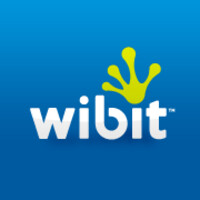 Wibit Sports logo - Similar company to Aquabanas