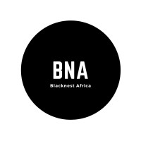 Blacknest Africa logo - Similar company to Seemplr Creative