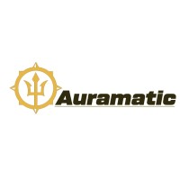 Auramatic Services Private Limited logo - Similar company to Lumedhealth
