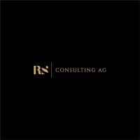 RS Consulting & Partner AG logo - Similar company to Minced.Ai