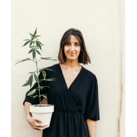 Marie Janine logo - Similar company to Mesclado