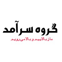 Saramad Group logo - Similar company to داناترنسفر | Danatransfer
