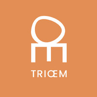 TRIŒM logo - Similar company to Jocx - Renforcer Votre Maturité En Cybersécurité