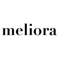 Meliora logo - Similar company to Amaha Technologies Group