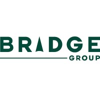 Bridge International Asia Sdn Bhd logo - Similar company to Vinx Malaysia Sdn. Bhd.