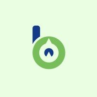BDS (Boundless Digital Services) logo - Similar company to Boundless