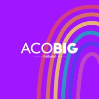 ACOBIG logo - Similar company to Binach