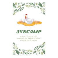 Avecamp logo - Similar company to Jungle Brewing