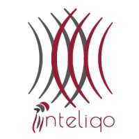 Inteliqo Solutions logo - Similar company to Applyace