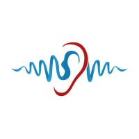 The Audiology Academy logo - Similar company to The British Society Of Audiology