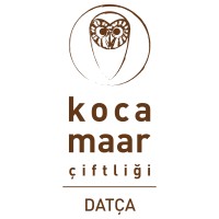 Kocamaar logo - Similar company to Ravla
