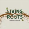 Living Roots Tours and Adventure logo - Similar company to Innovity Branding Concepts