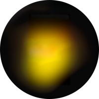 Rayo Consulting logo - Similar company to Dookly