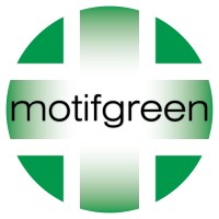 Motif Green logo - Similar company to Archival Gallery