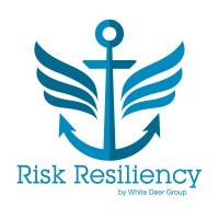 Risk Resiliency logo - Similar company to Transitional Solutions Inc.