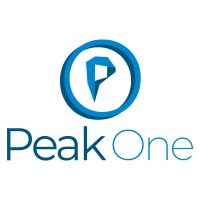 Peak One GmbH logo - Similar company to Element Gmbh