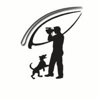 The Third Eye Films logo - Similar company to Framewirk.Com