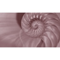 Encompass logo - Similar company to Encompass