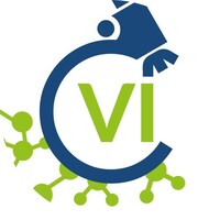 Collagene VI Italia APS logo - Similar company to Acmt-Rete Per La Malattia Di Charcot-Marie-Tooth