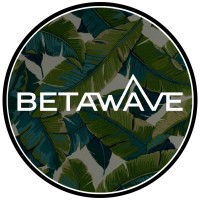 BetaWave Studios logo - Similar company to Betawave