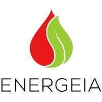 Energeia Technologies Pte Ltd logo - Similar company to Khoon Development & Friends