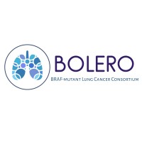 BOLERO Consortium logo - Similar company to Lkb Associates - Lkb School Of Coaching