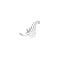 Silverfern English logo - Similar company to Silverfern Mlw