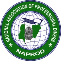 NAPROD logo - Similar company to Jasmine Ultra Blue Solutions