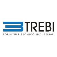Trebi Srl logo - Similar company to Cast System Srl