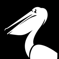 Pelican Code Tulane logo - Similar company to Phi Delta Theta Louisiana Alpha