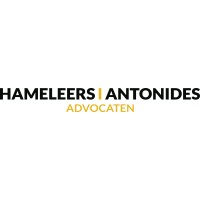 Hameleers Antonides Advocaten logo - Similar company to Swentibold Groep