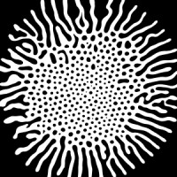 The Swamp logo - Similar company to Riseland