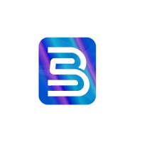 Belsoft Systems Limited logo - Similar company to Vixie Ai