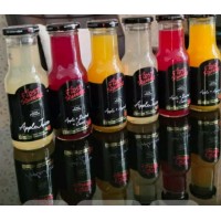 Fruit Master Beverages logo - Similar company to Frutech Infrastructure Pvt. Ltd.