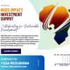 NGOs IMPACT INVESTMENT SUMMIT logo - Similar company to The 234 Project