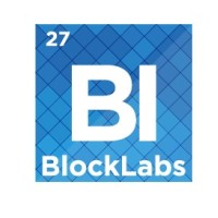 Block Labs - Blockchain Infrastructure Solutions logo - Similar company to Blocklabs