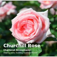 Churchill Rose logo - Similar company to Clamp Boxall Accountants