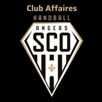 Club affaires Angers SCO Handball logo - Similar company to Prise De Notes