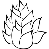 Curated Cannabis logo - Similar company to Bud Technology