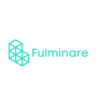 Fulminare logo - Similar company to Delbed Software — *Aquired*