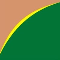 Producers Savings Bank Corporation logo - Similar company to Devcon Kids