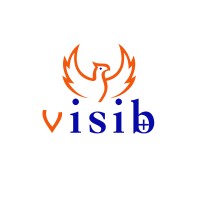 VISIB+ logo - Similar company to Zagla Media Lab