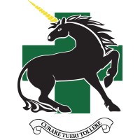 335 Medical Evacuation Regiment logo - Similar company to Tactical Security Services