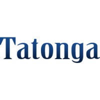 Tatonga Consulting Group logo - Similar company to Elite Site Services
