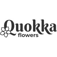 Quokka Flowers logo - Similar company to Enemer
