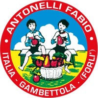 Antonelli Fabio Srl