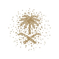 General Court of Audit - الديوان العام للمحاسبة logo - Similar company to Al - Diwan الديوان