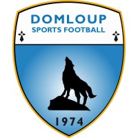 Domloup Sports Football logo - Similar company to Us Janzé