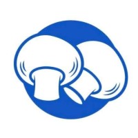 Paccu