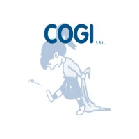 COGI srl _ Articoli per la pulizia industriale logo - Similar company to Gemini Industriale Gtsc Evapco